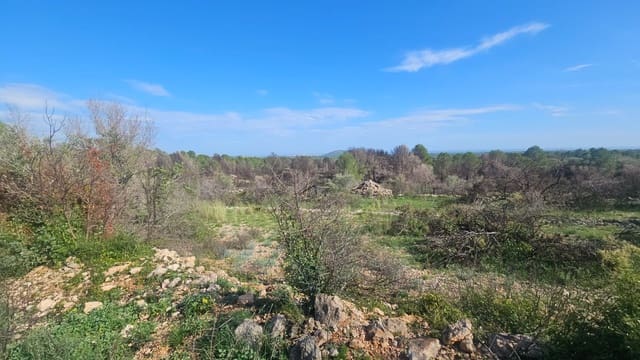 Finca/Country House for sale in Càlig - € 180,000 (Ref: 9022573)