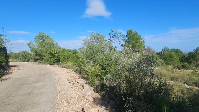 Finca/Country House for sale in Càlig - € 180,000 (Ref: 9022573)