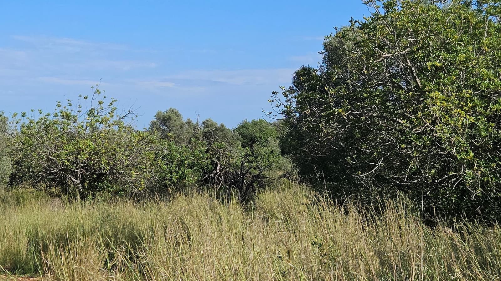 Finca/Landehus til salg i Calig - € 180.000 (Ref: 9022573)