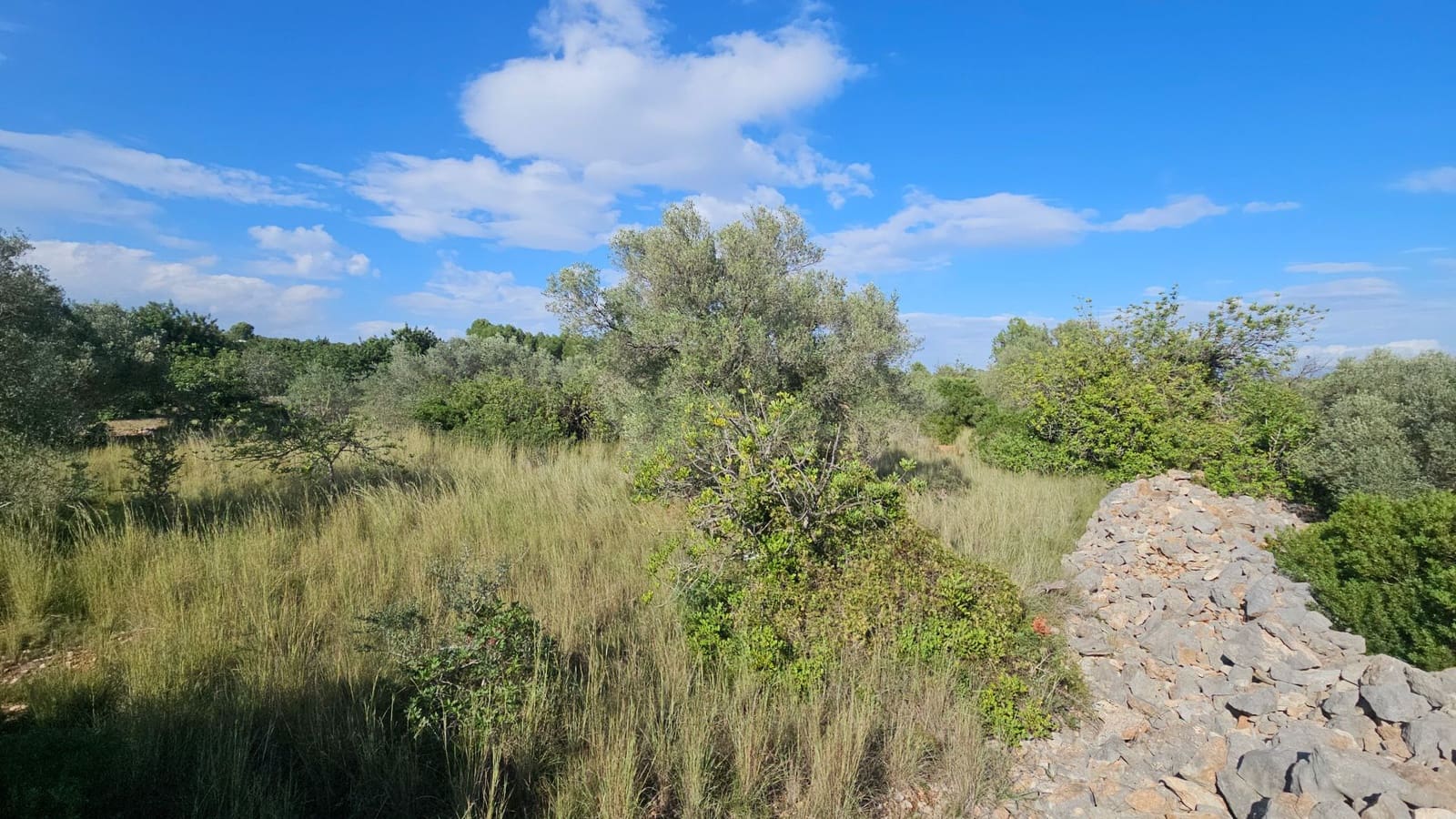 Finca/Landehus til salg i Calig - € 180.000 (Ref: 9022573)