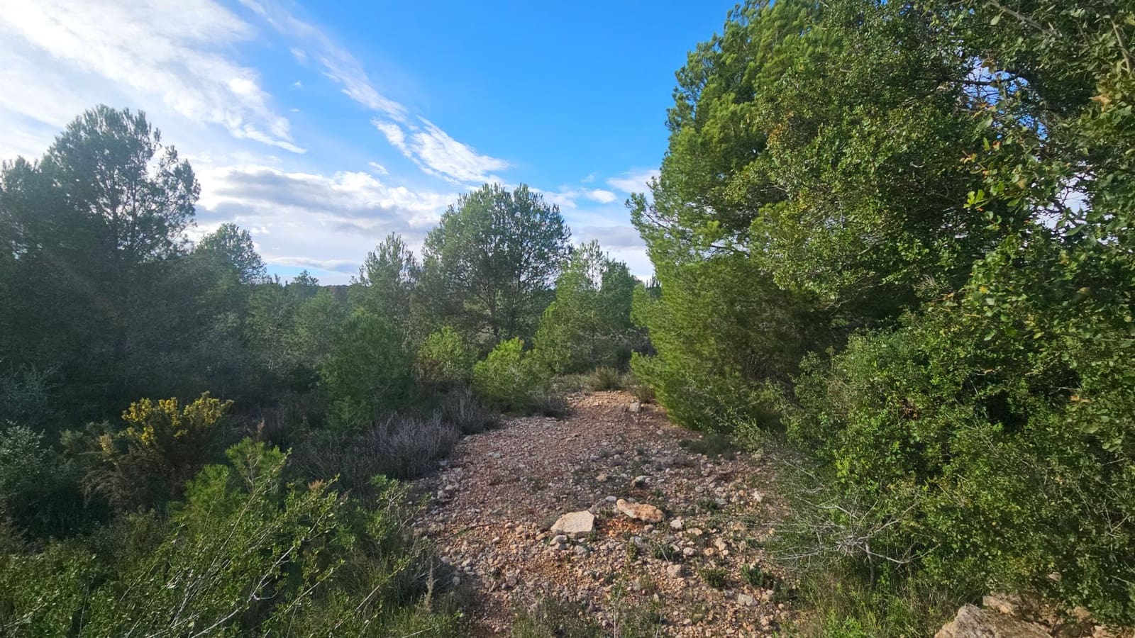 Finca/Landehus til salg i Calig - € 180.000 (Ref: 9022573)