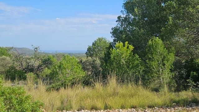 Finca/Country House for sale in Càlig - € 180,000 (Ref: 9022573)