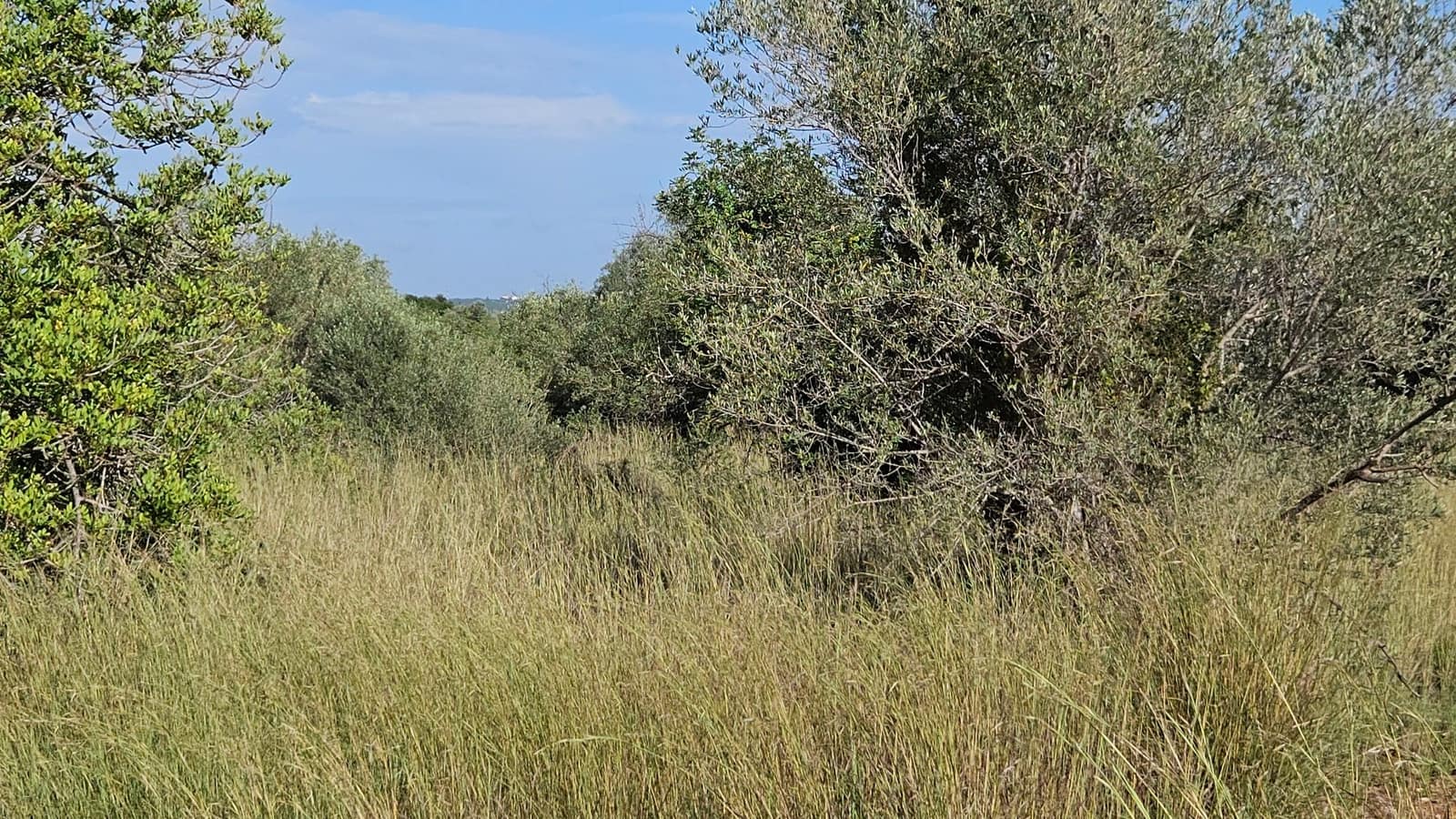 Finca/Landehus til salg i Calig - € 180.000 (Ref: 9022573)