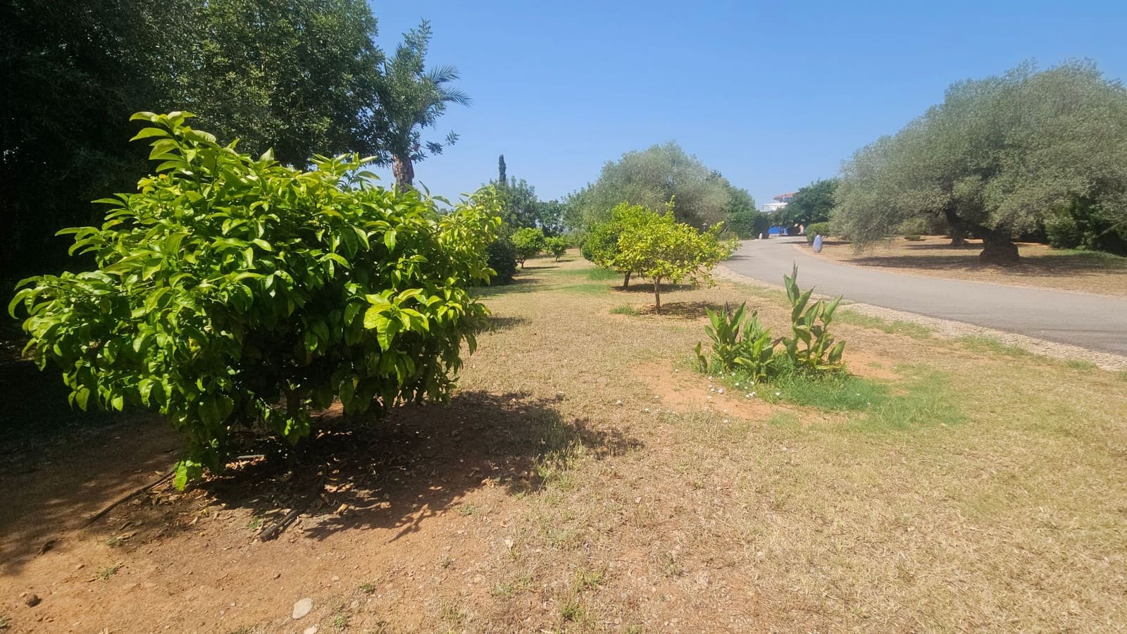 3 soveværelse Villa til salg i Calig med swimmingpool garage - € 649.000 (Ref: 9097625)