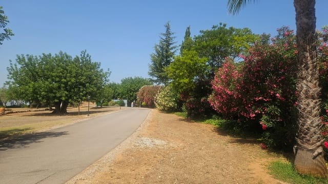 3 soverom Villa til salgs i Càlig med svømmebasseng garasje - € 649 000 (Ref: 9097625)