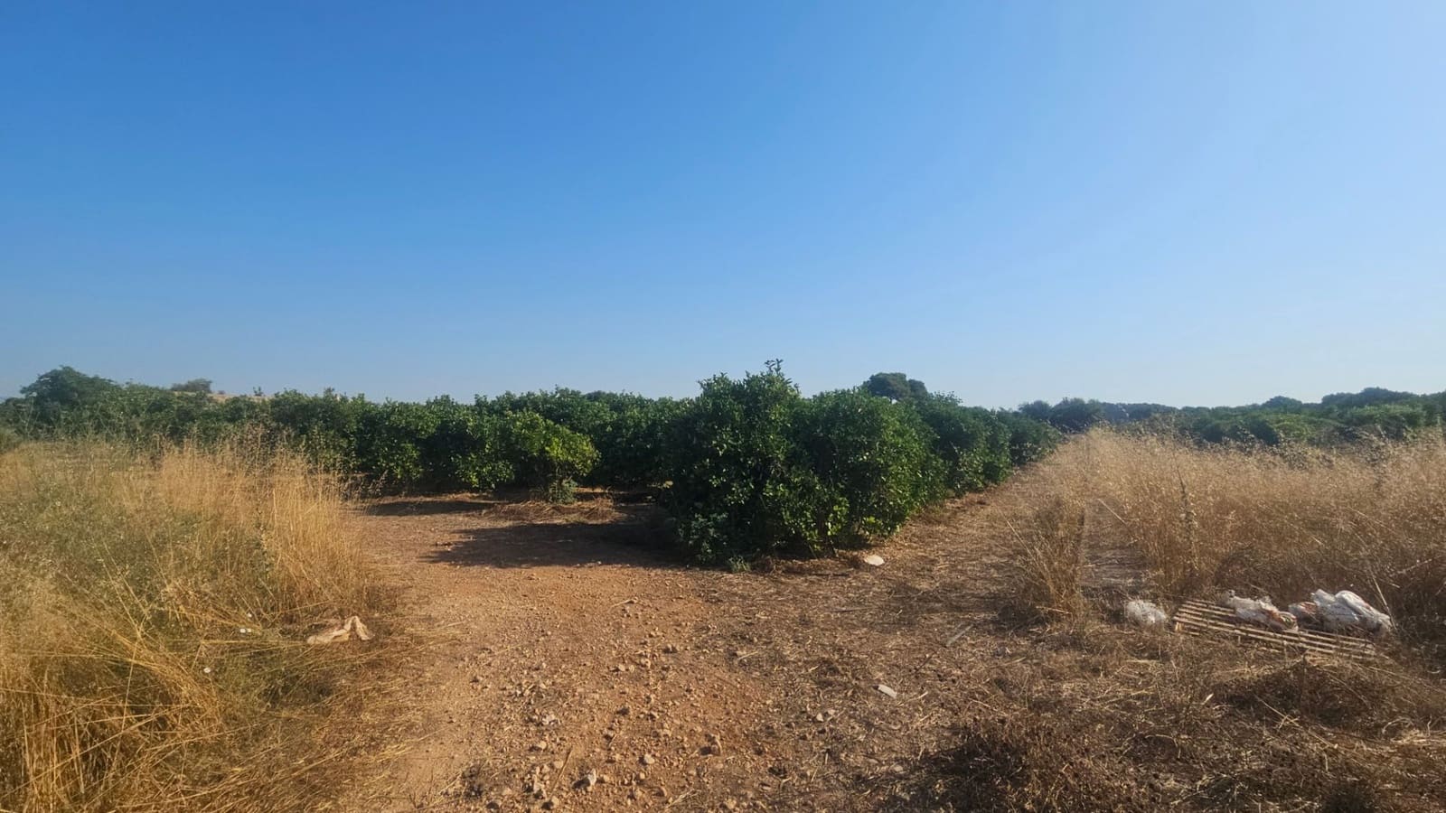 Finca/Country House for sale in Vinaros - € 65,000 (Ref: 9101687)