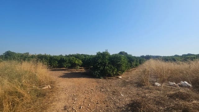 Finca/Country House for sale in Vinaròs - € 65,000 (Ref: 9101687)