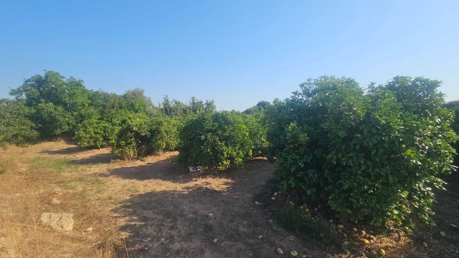 Finca/Country House for sale in Vinaros - € 65,000 (Ref: 9101687)