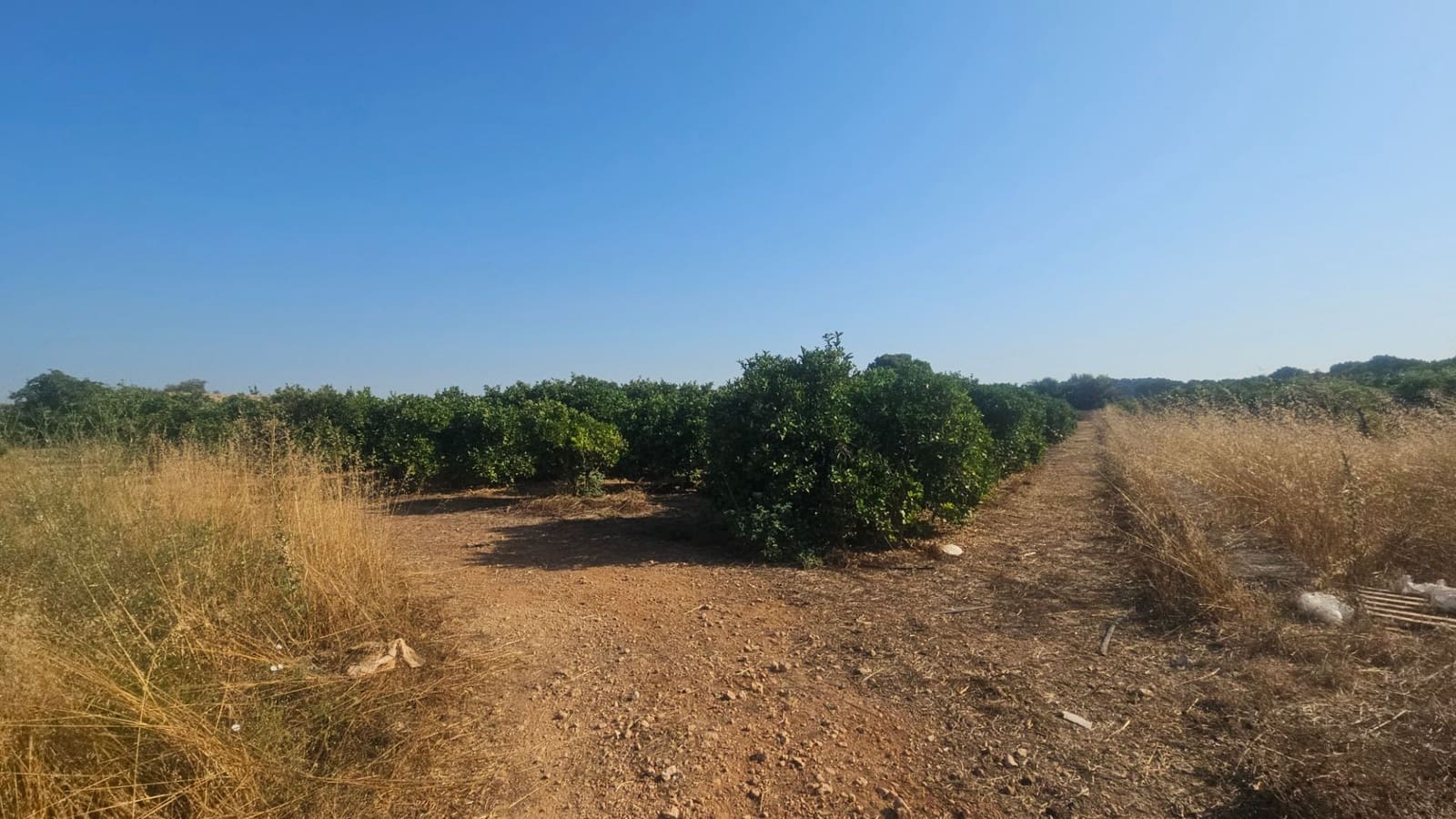 Finca/Country House for sale in Vinaros - € 65,000 (Ref: 9101687)