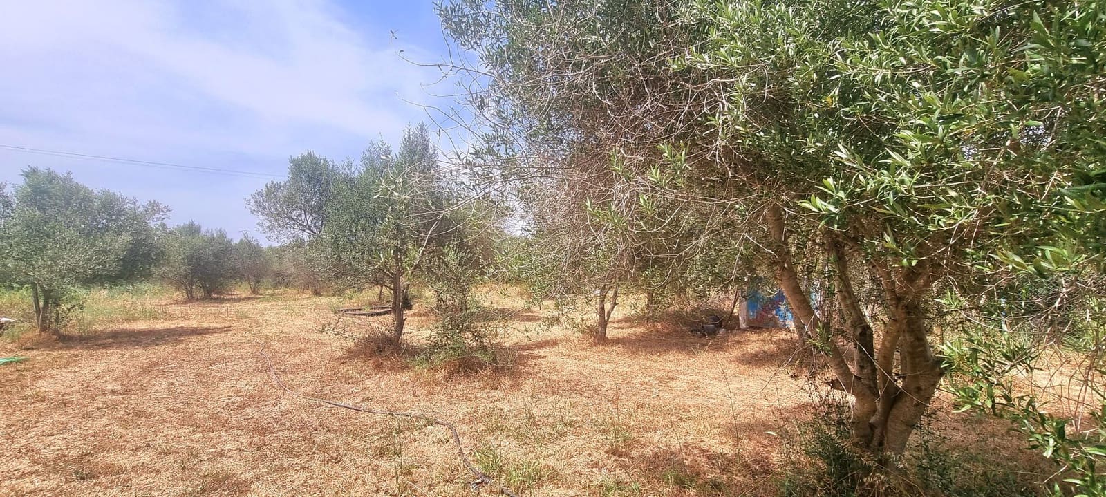 3 soveværelse Finca/Landehus til salg i Vinaros med garage - € 280.000 (Ref: 9103963)