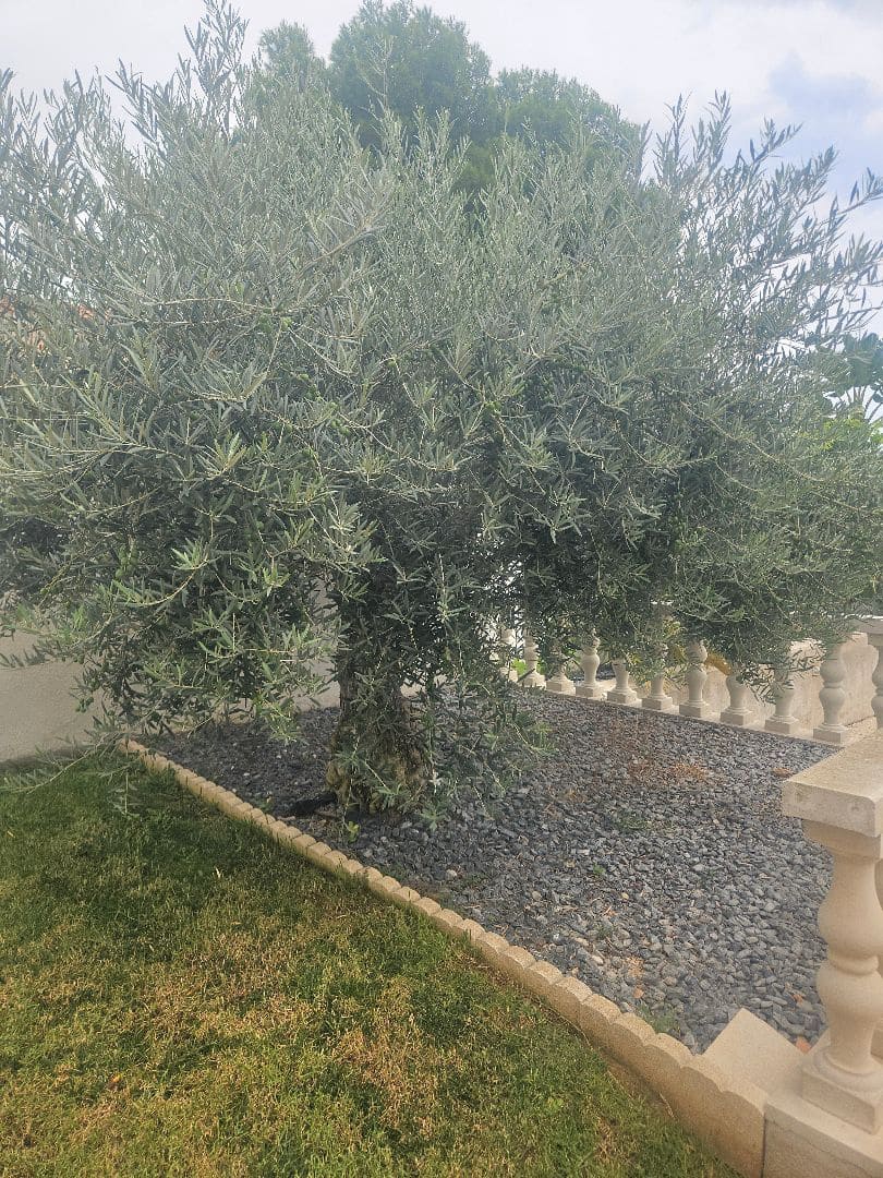 3 sypialnia Willa na sprzedaż w Vinaros z basenem garażem - 430 000 € (Ref: 9191919)