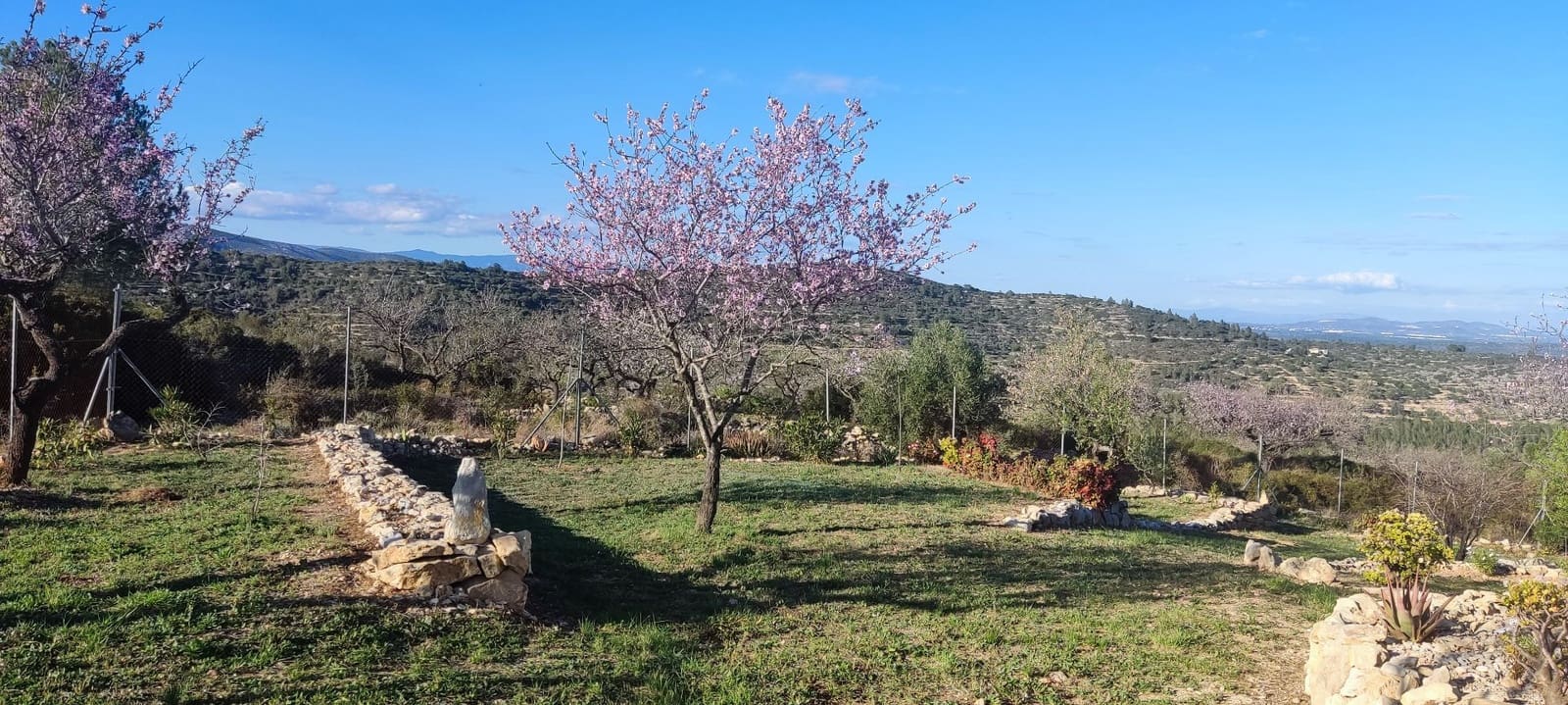 2 sovrum Finca/Hus på landet till salu i Cervera del Maestre / Cervera del Maestrat med pool garage - 545 000 € (Ref: 9198164)