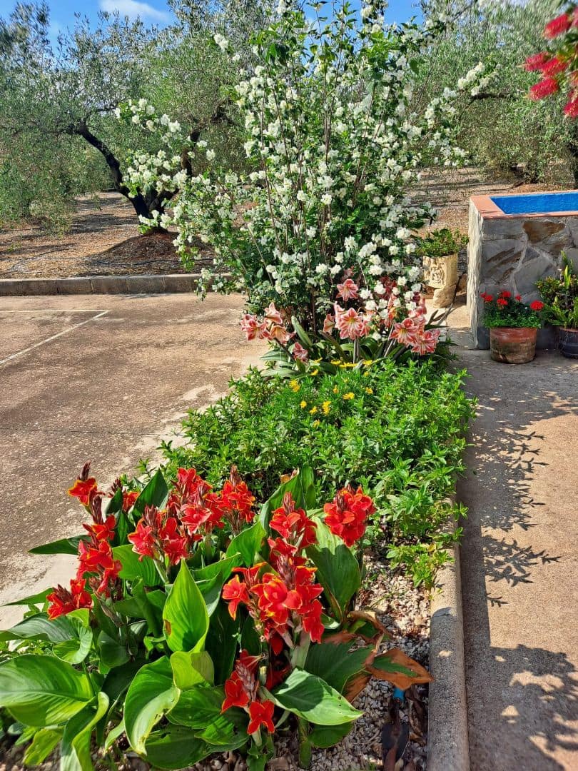 1 quarto Quinta/Casa Rural para venda em Calig com piscina garagem - 150 000 € (Ref: 9354037)