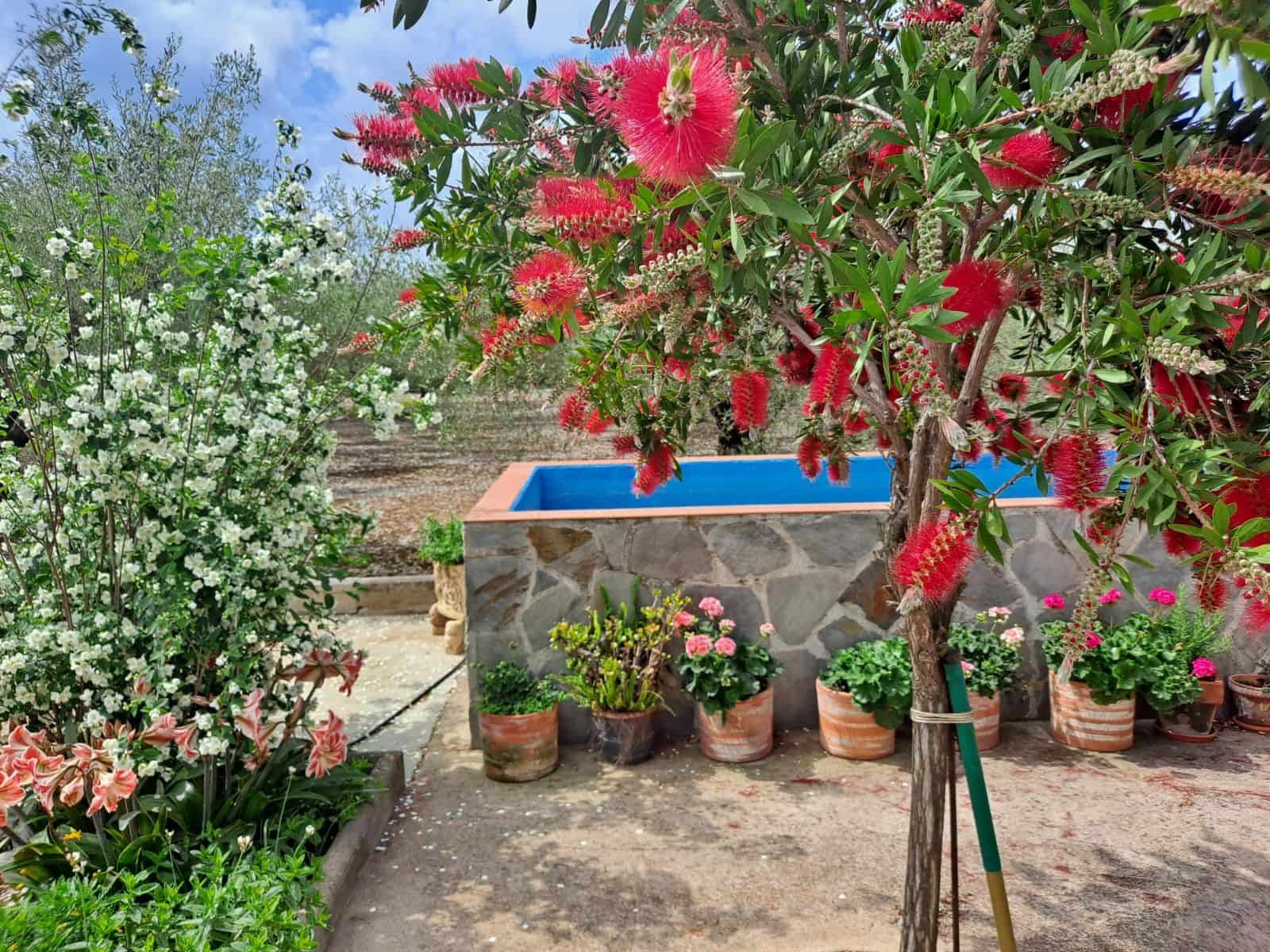 1 quarto Quinta/Casa Rural para venda em Calig com piscina garagem - 150 000 € (Ref: 9354037)