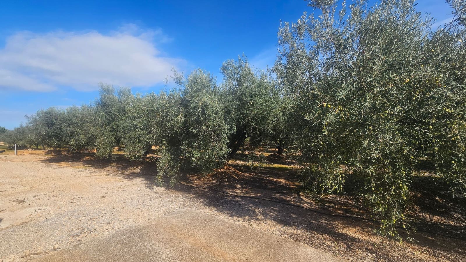 1 quarto Quinta/Casa Rural para venda em Calig com piscina garagem - 150 000 € (Ref: 9354037)