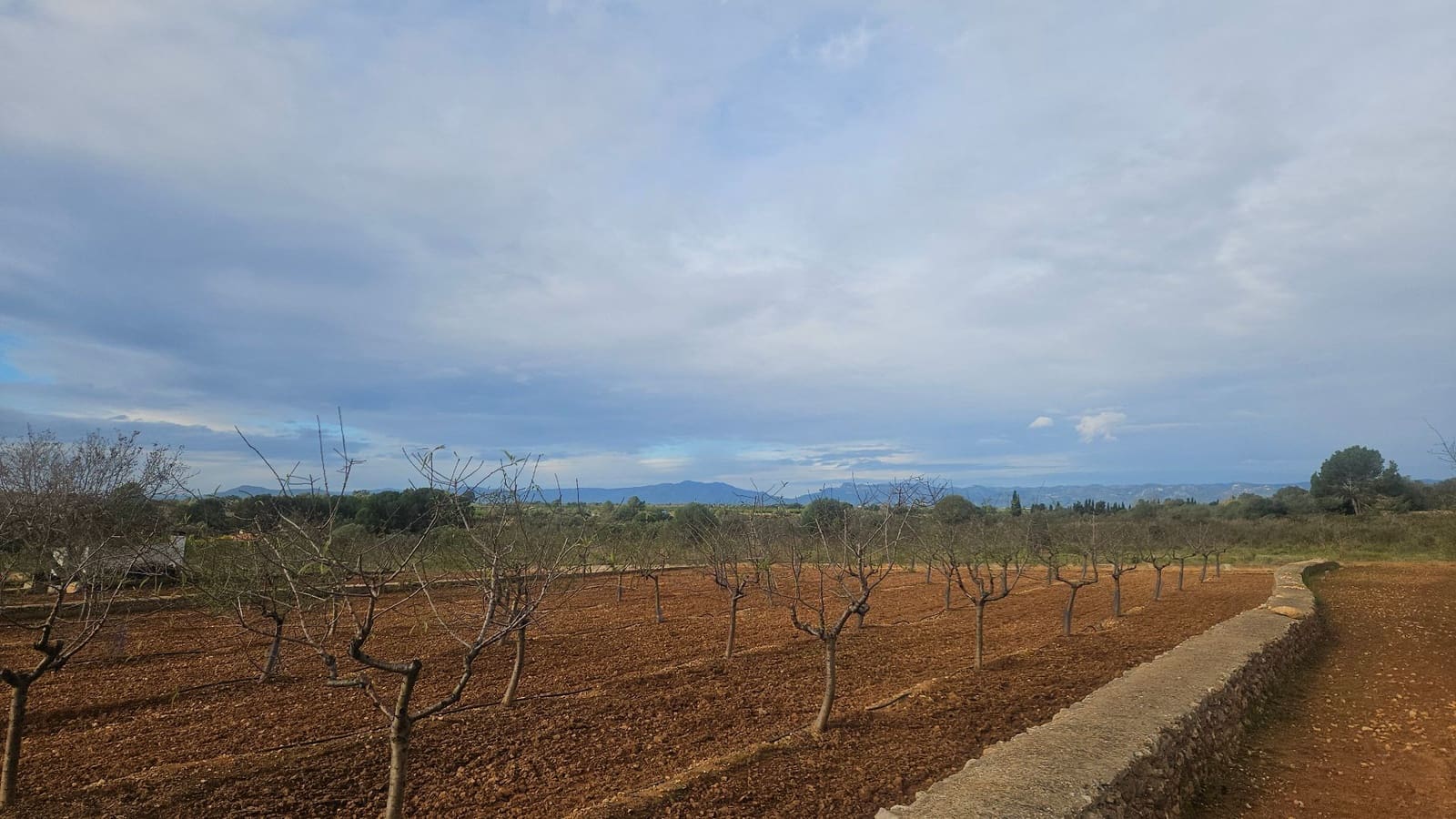 Finca/Herregård til salgs i Ulldecona - € 25 000 (Ref: 9410175)