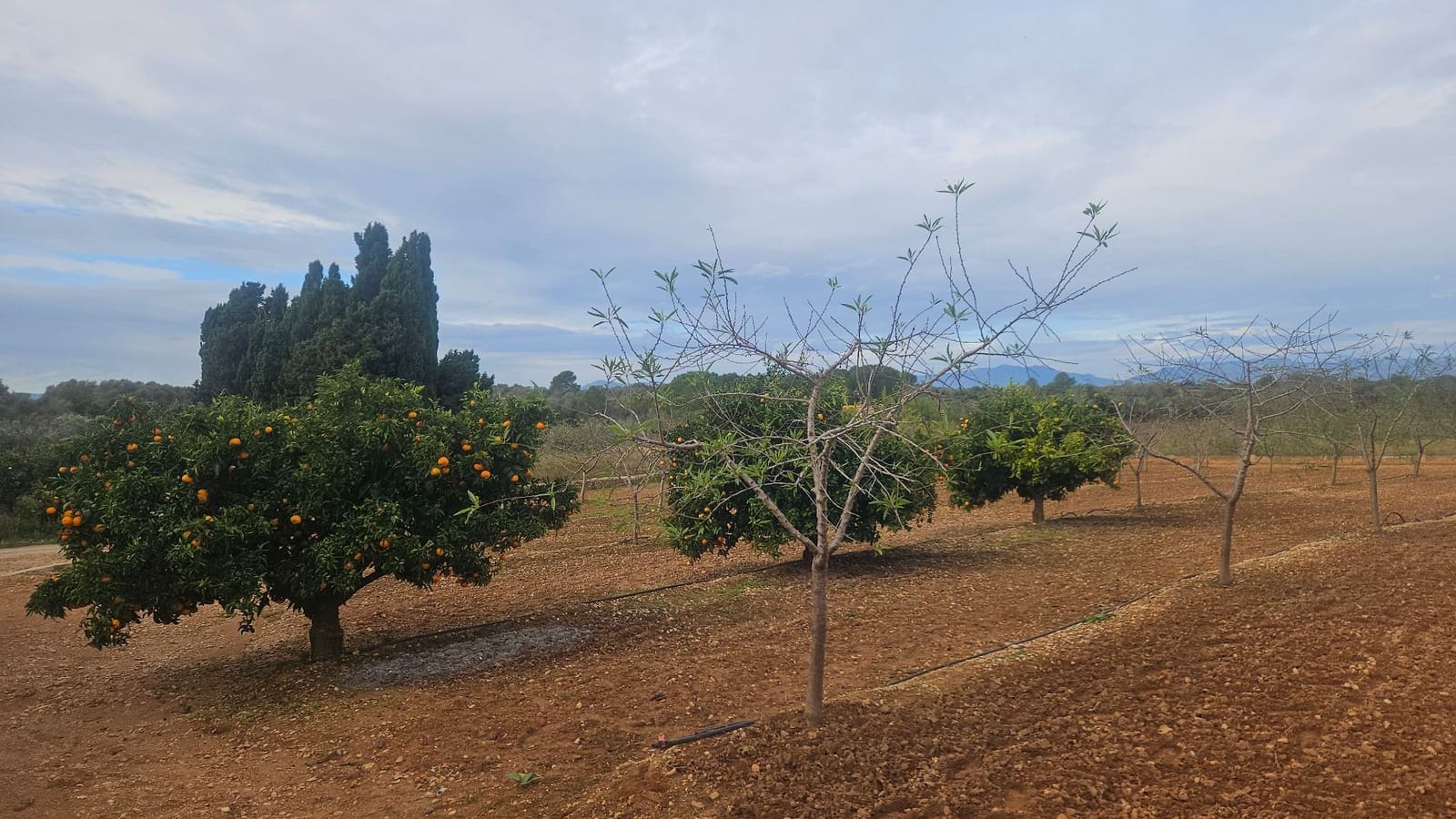Finca/Herregård til salgs i Ulldecona - € 25 000 (Ref: 9410175)