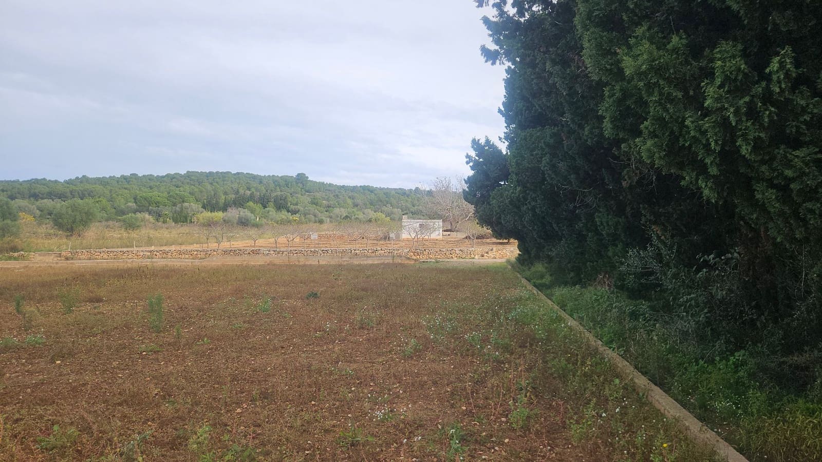 Finca/Herregård til salgs i Ulldecona - € 25 000 (Ref: 9410175)