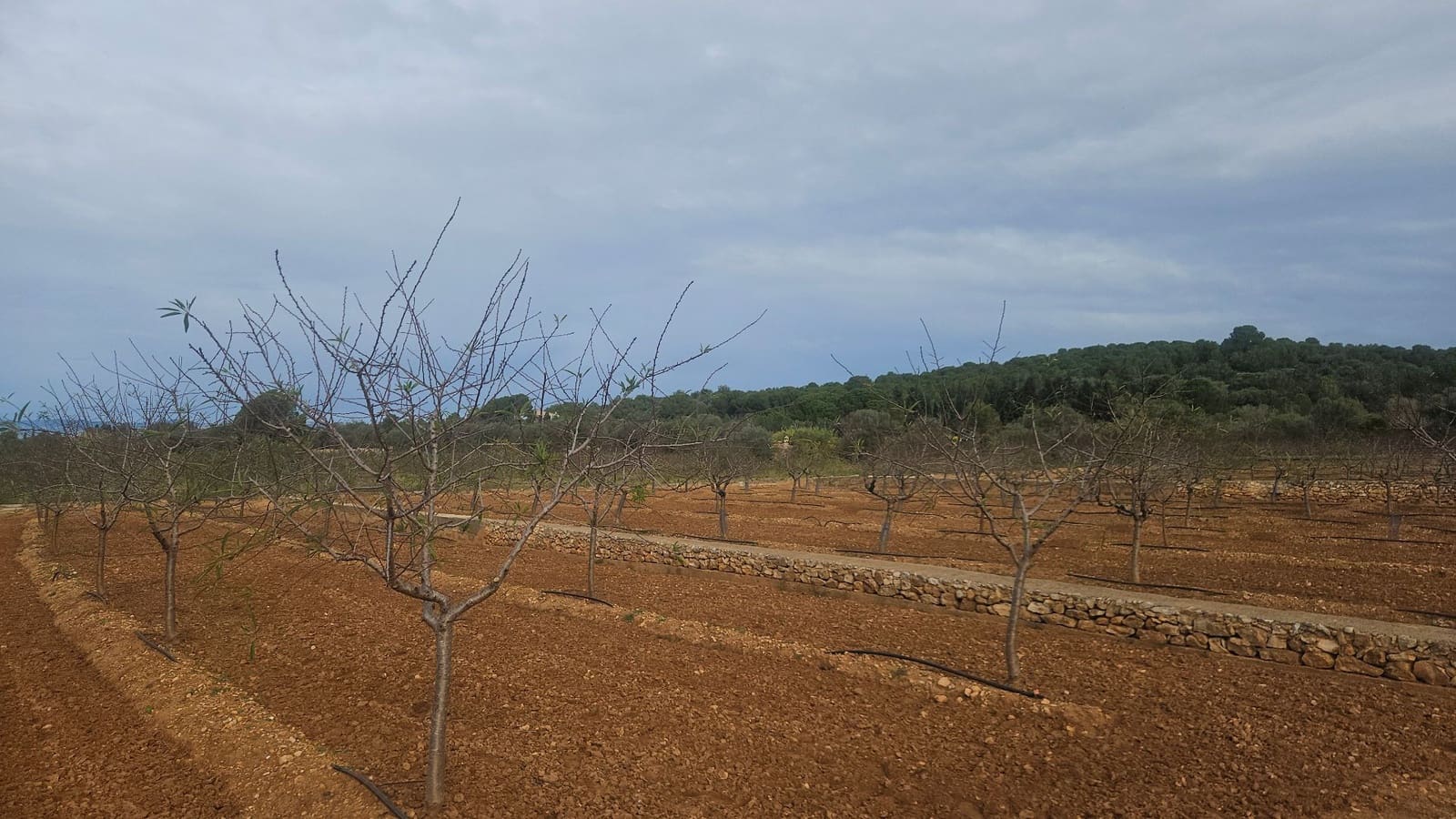 Finca/Herregård til salgs i Ulldecona - € 25 000 (Ref: 9410175)