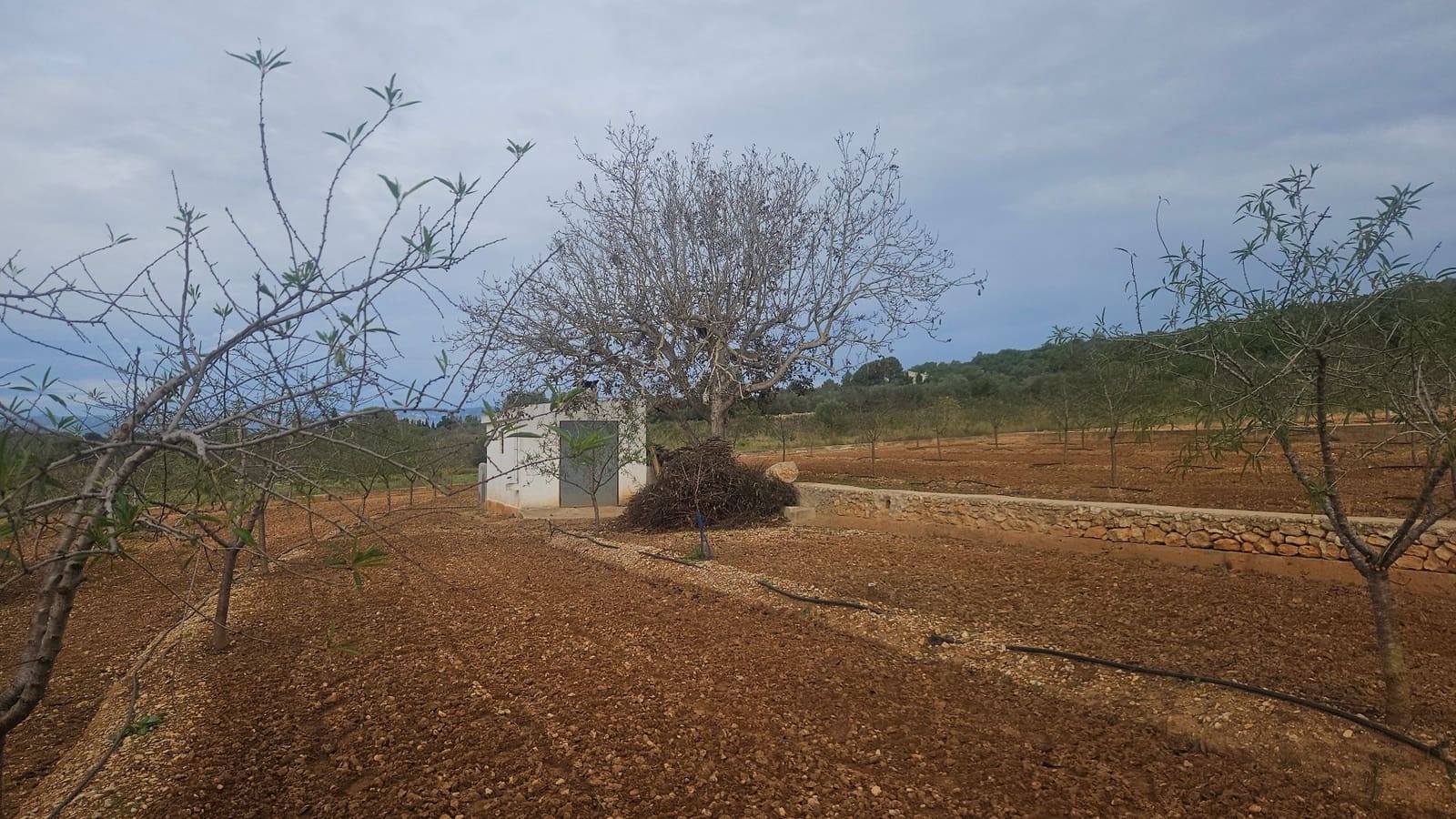 Finca/Herregård til salgs i Ulldecona - € 25 000 (Ref: 9410175)