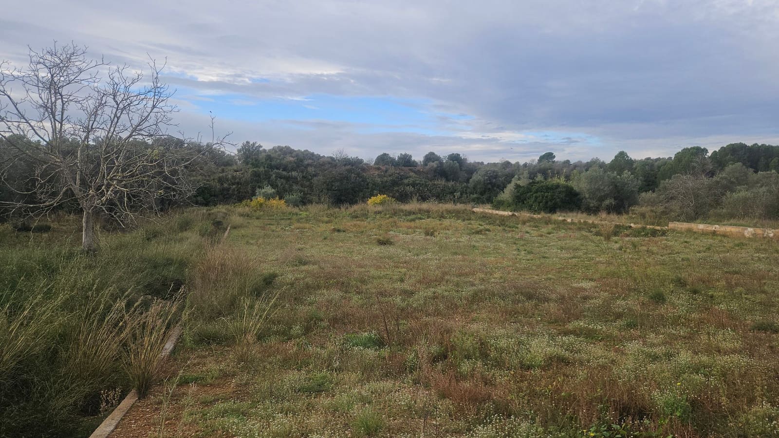 Finca/Herregård til salgs i Ulldecona - € 25 000 (Ref: 9410175)
