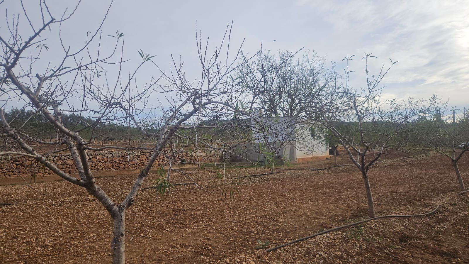 Finca/Herregård til salgs i Ulldecona - € 25 000 (Ref: 9410175)