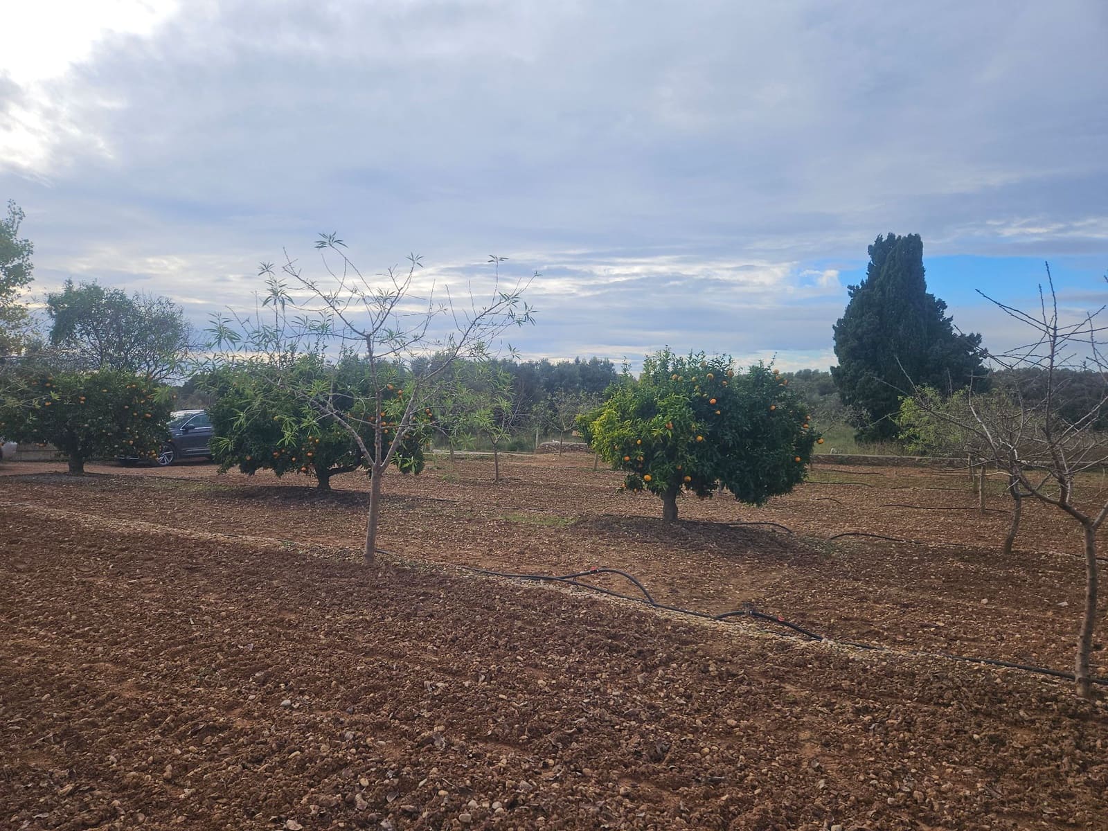 Finca/Herregård til salgs i Ulldecona - € 25 000 (Ref: 9410175)