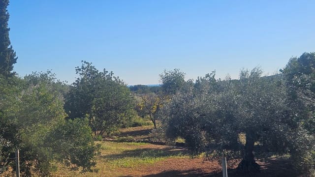 5 bedroom Finca/Country House for sale in Cervera del Maestre / Cervera del Maestrat with pool garage - € 125,000 (Ref: 9410176)