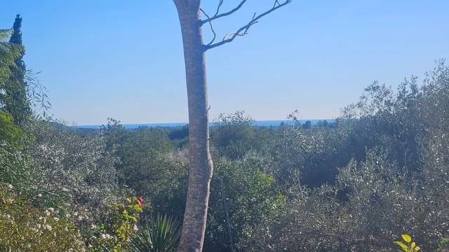 5 bedroom Finca/Country House for sale in Cervera del Maestre / Cervera del Maestrat with pool garage - € 125,000 (Ref: 9410176)