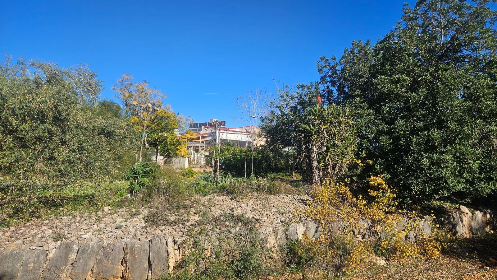 5 makuuhuone Maalaistalo myytävänä paikassa Cervera del Maestre / Cervera del Maestrat mukana uima-altaan 
autotalli - 125 000 € (Ref: 9410176)