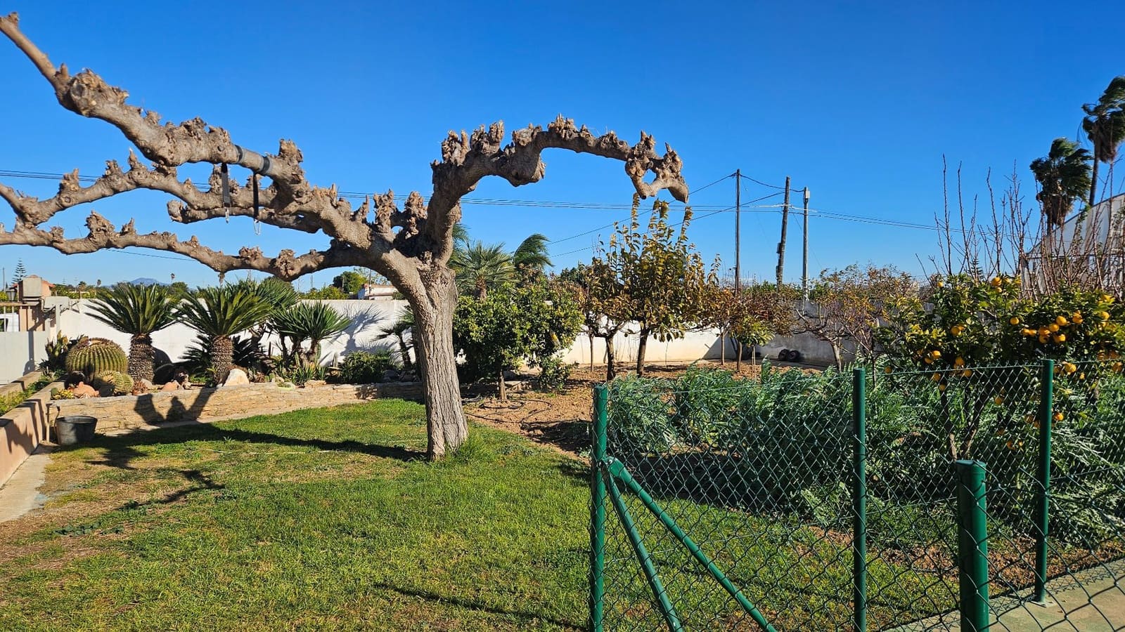 5 soveværelse Villa til salg i Benicarlo med swimmingpool garage - € 590.000 (Ref: 9438906)