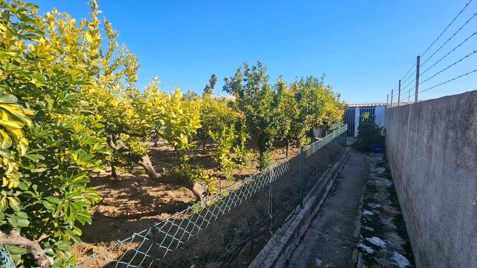 5 soveværelse Villa til salg i Benicarlo med swimmingpool garage - € 590.000 (Ref: 9438906)