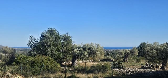 3 soveværelse Finca/Landehus til salg i Càlig med swimmingpool garage - € 590.000 (Ref: 9442821)