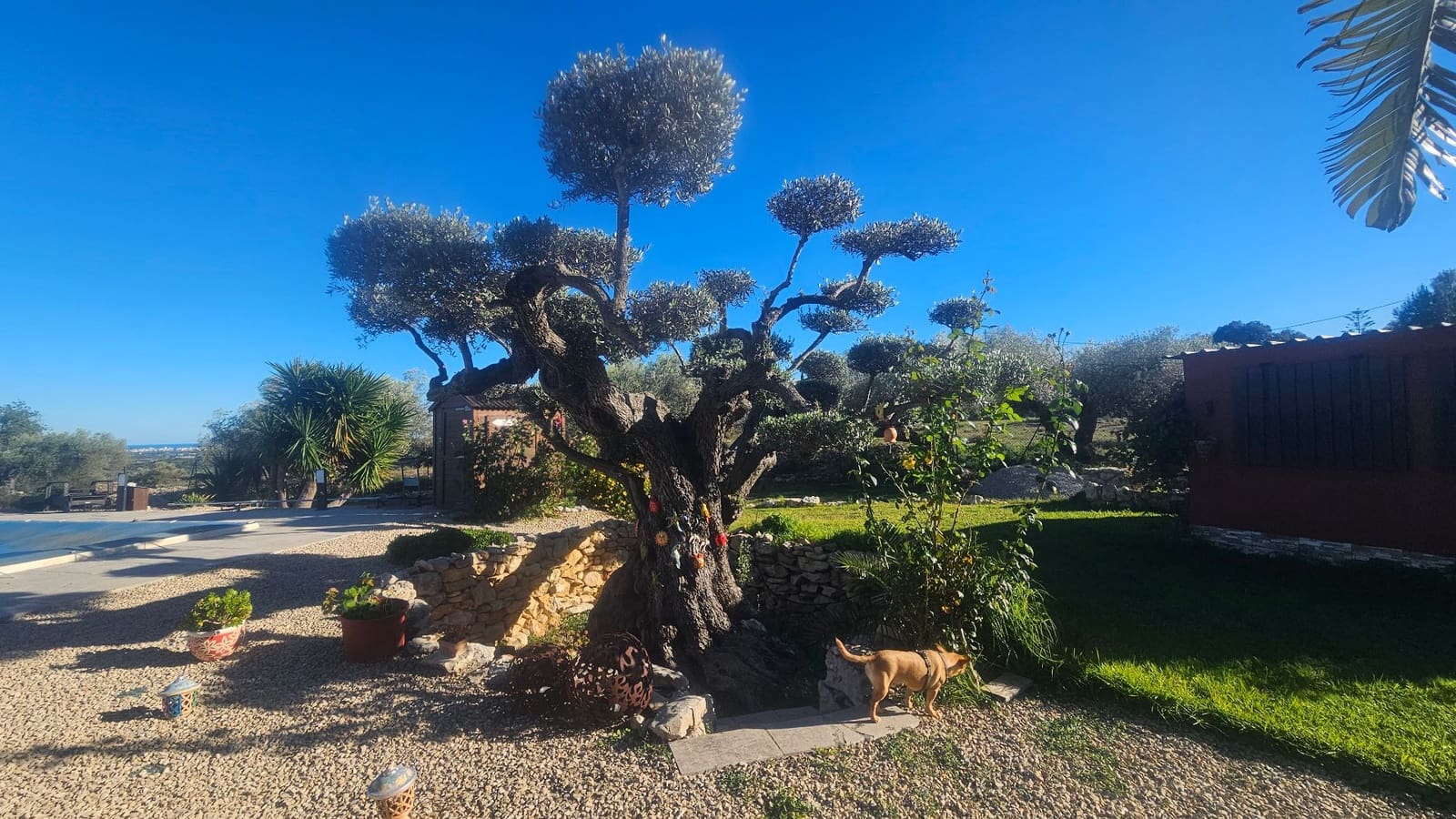 3 makuuhuone Maalaistalo myytävänä paikassa Calig mukana uima-altaan 
autotalli - 590 000 € (Ref: 9442821)