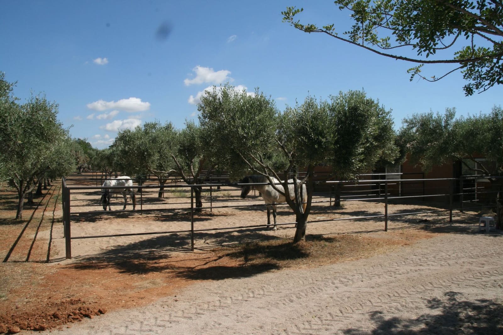 9 soveværelse Finca/Landehus til salg i Cervera del Maestre / Cervera del Maestrat med swimmingpool - € 1.200.000 (Ref: 9517936)