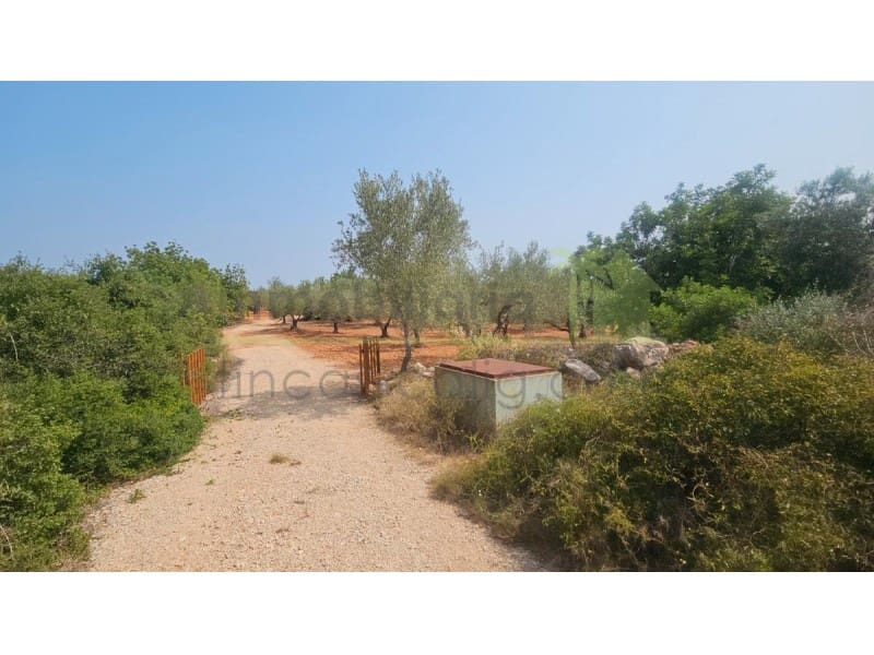 4 sypialnia Finka/Dom wiejski na sprzedaż w Calig - 185 000 € (Ref: 9565369)