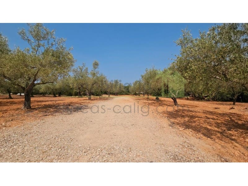 4 sypialnia Finka/Dom wiejski na sprzedaż w Calig - 185 000 € (Ref: 9565369)