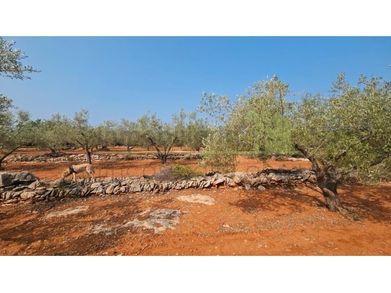 4 sypialnia Finka/Dom wiejski na sprzedaż w Calig - 185 000 € (Ref: 9565369)