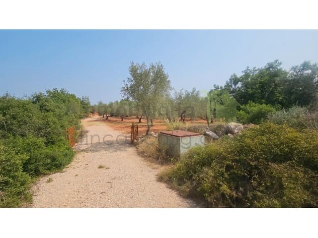 4 sypialnia Finka/Dom wiejski na sprzedaż w Càlig - 185 000 € (Ref: 9565369)