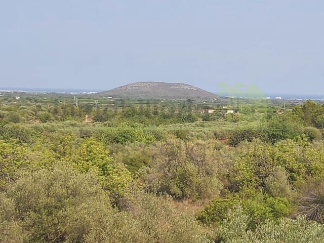 4 sypialnia Finka/Dom wiejski na sprzedaż w Càlig - 185 000 € (Ref: 9565369)