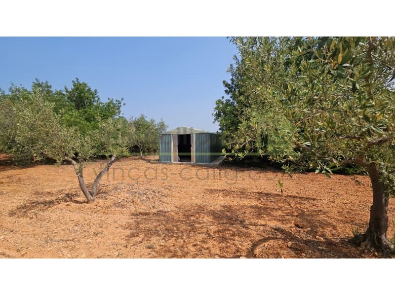 4 sypialnia Finka/Dom wiejski na sprzedaż w Calig - 185 000 € (Ref: 9565369)