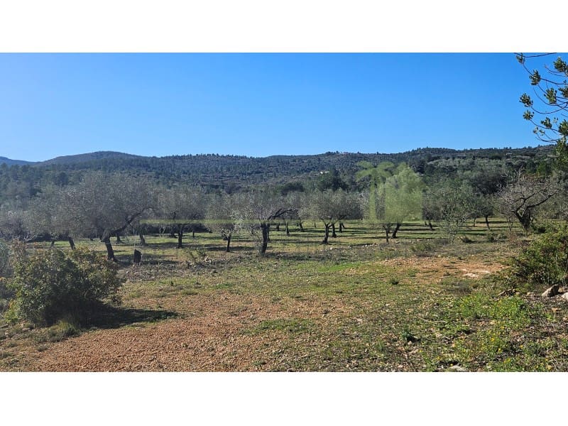 2 camera da letto Finca/Casa di Campagna in vendita in Cervera del Maestre / Cervera del Maestrat - 179.000 € (Rif: 9565370)