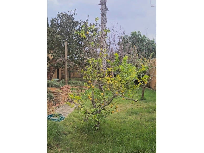 10 soverom Villa til salgs i Alcanar - € 850 000 (Ref: 9568906)