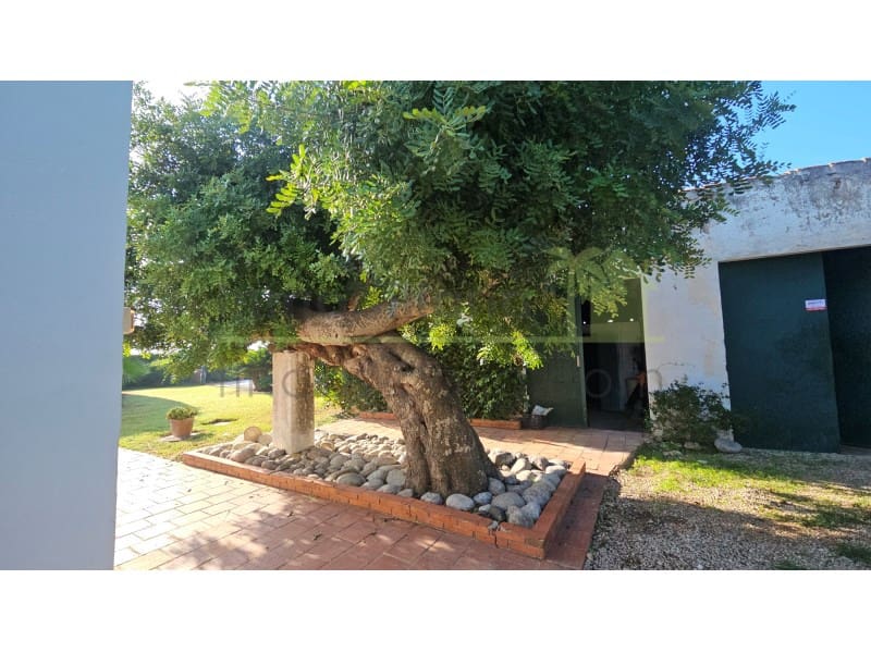 3 bedroom Villa for sale in Vinaros with pool garage - € 440,000 (Ref: 9568910)