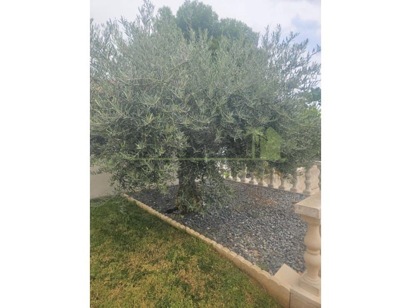 3 soveværelse Villa til salg i Vinaros med swimmingpool garage - € 390.000 (Ref: 9568912)