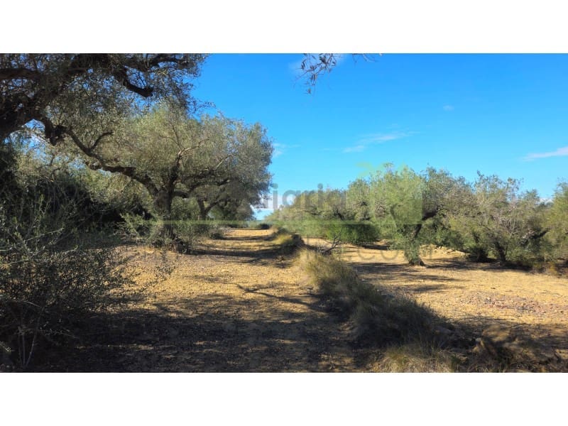 2 soveværelse Finca/Landehus til salg i Calig med garage - € 375.000 (Ref: 9568917)