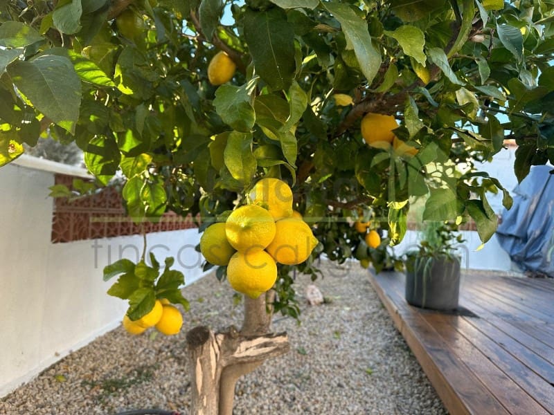 2 soveværelse Villa til salg i Peniscola med swimmingpool - € 295.000 (Ref: 9568921)