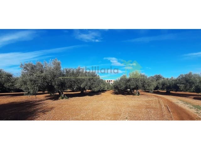 3 soverom Finca/Herregård til salgs i Càlig med svømmebasseng - € 392 000 (Ref: 9568923)