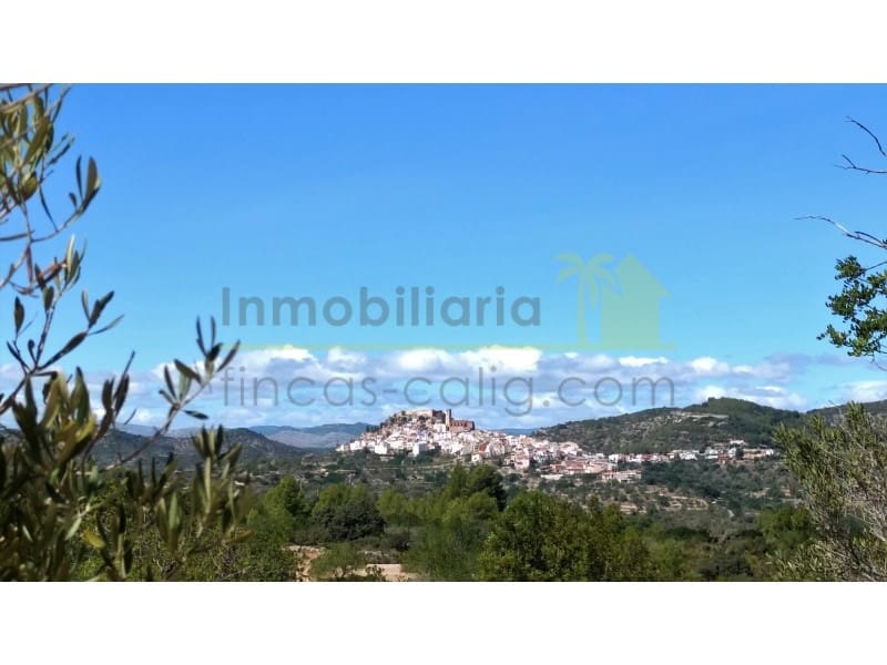 2 soverom Finca/Herregård til salgs i Cervera del Maestre / Cervera del Maestrat med svømmebasseng garasje - € 545 000 (Ref: 9568928)