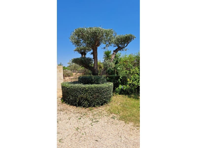 2 soveværelse Finca/Landehus til salg i Calig med swimmingpool - € 349.000 (Ref: 9568929)